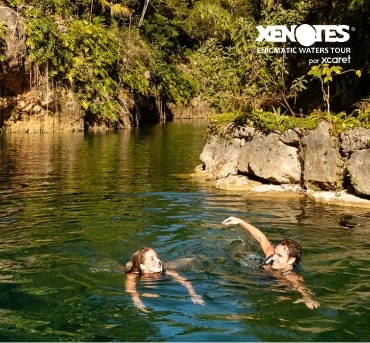 Tour Xenotes